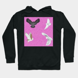 Soaring Owls Pink Hoodie